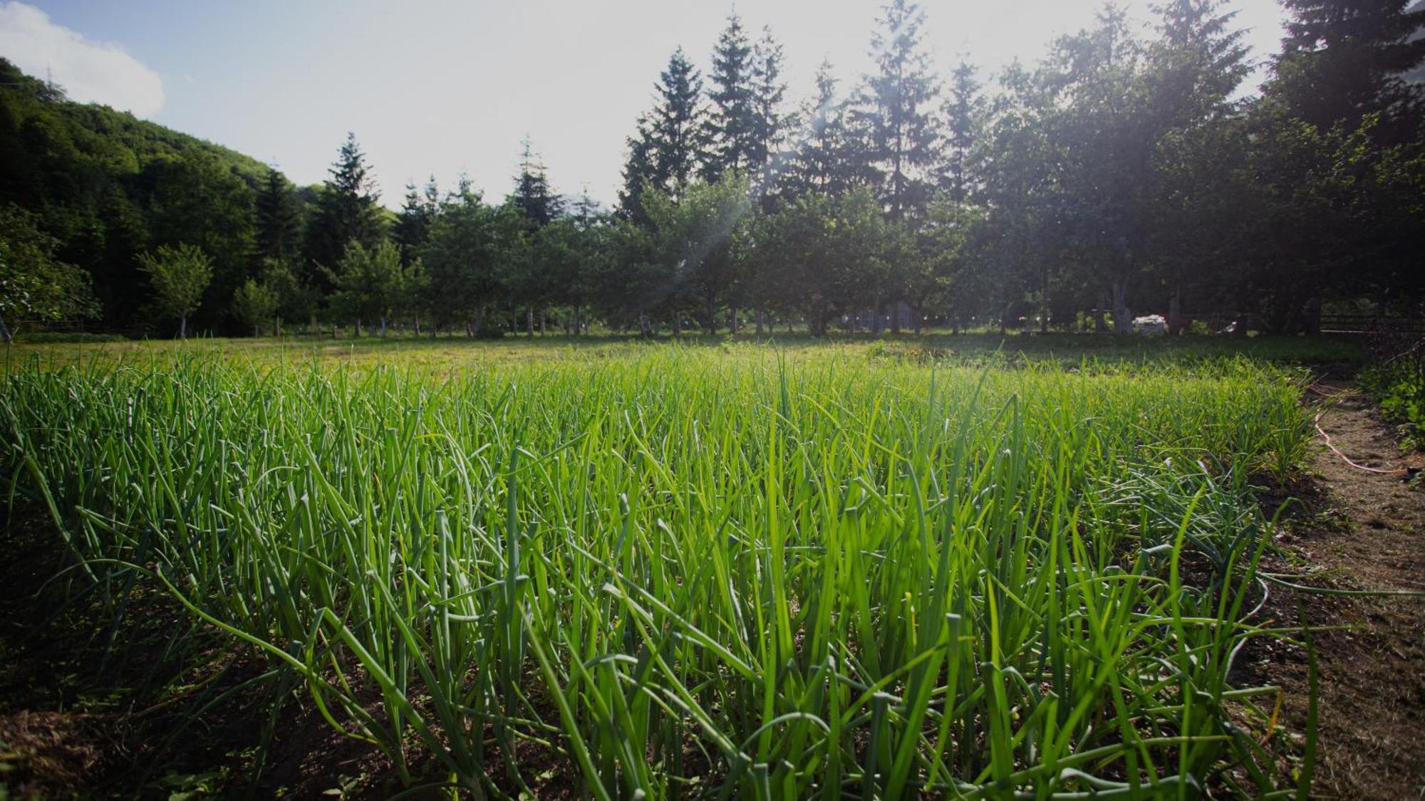 Ethno Village Stitarica 莫伊科瓦茨 外观 照片