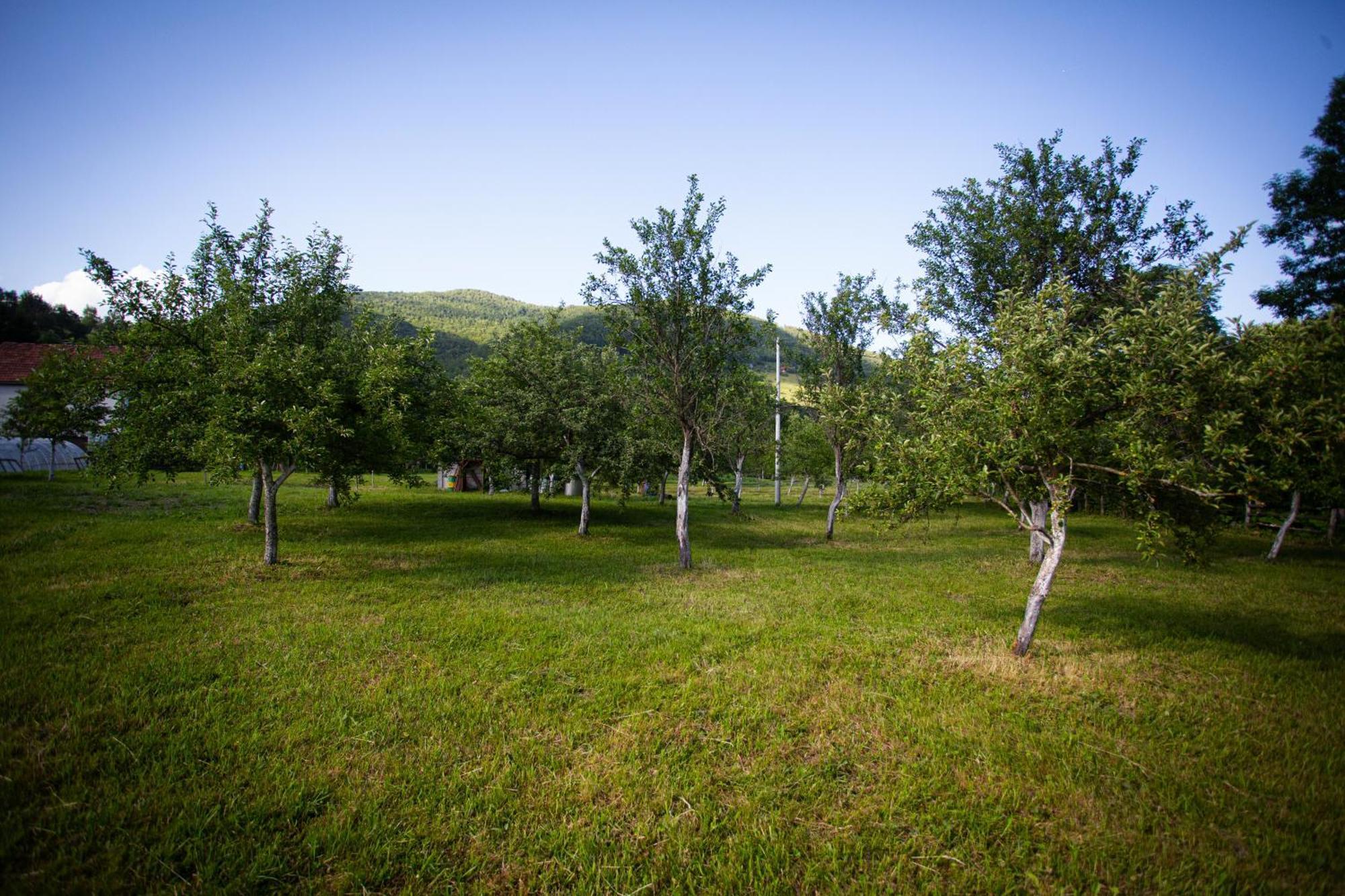 Ethno Village Stitarica 莫伊科瓦茨 外观 照片